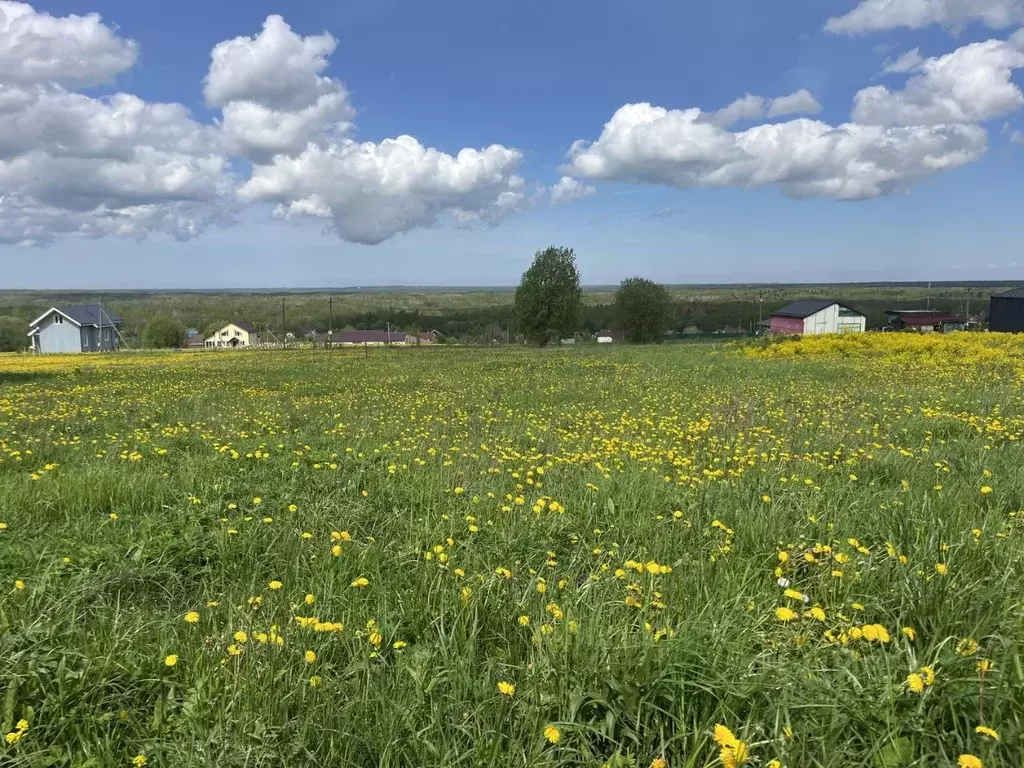 Участок в Ленинградская область, Ломоносовский район, Ропшинское ... - Фото 0