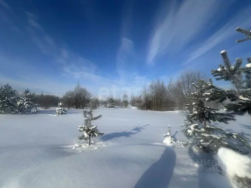 Участок в Владимирская область, Ковров Имени Чкалова мкр,  (6.12 сот.) - Фото 2