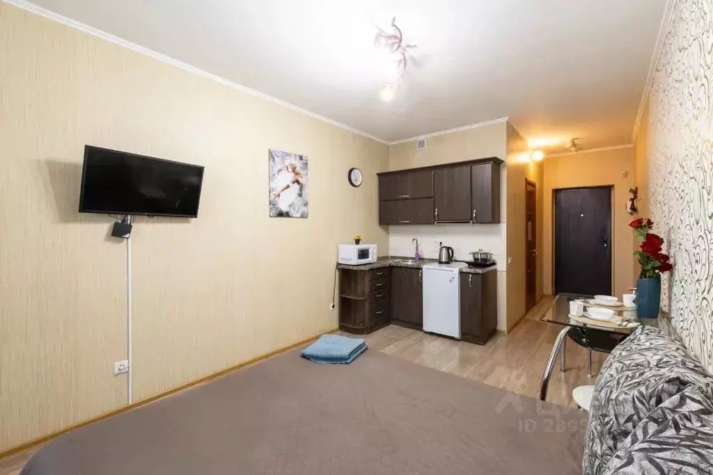 Студия Алтайский край, Барнаул просп. Строителей, 18 (24.0 м) - Фото 2