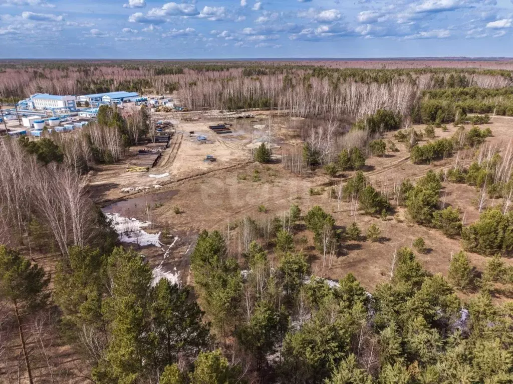 Участок в Новосибирская область, Новосибирский район, с. Кубовая  ... - Фото 2