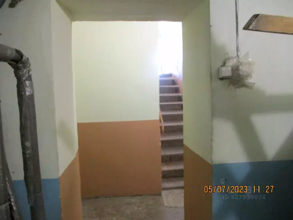 Помещение свободного назначения в Новосибирская область, Новосибирск ... - Фото 1