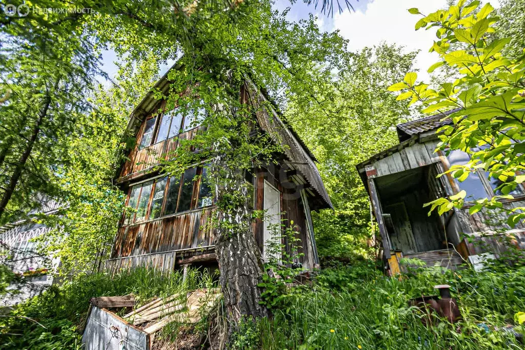 Участок в Барышевский сельсовет, некоммерческое садоводческое ... - Фото 0