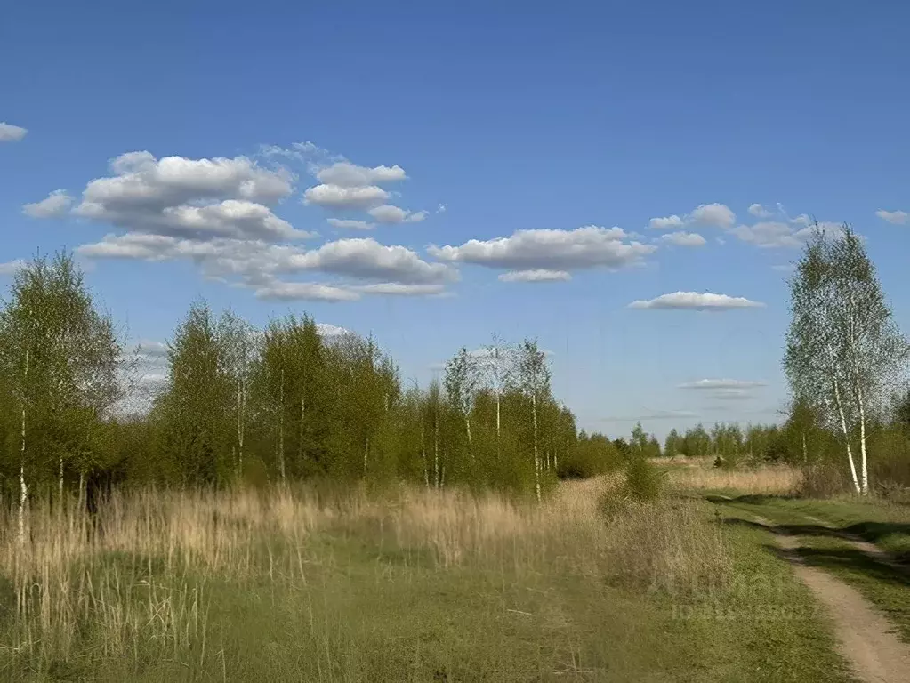 Участок в Московская область, Павлово-Посадский городской округ, д. ... - Фото 1