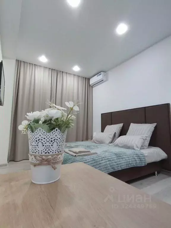 1-к кв. Татарстан, Казань ул. Толстого, 41 (22.0 м) - Фото 1