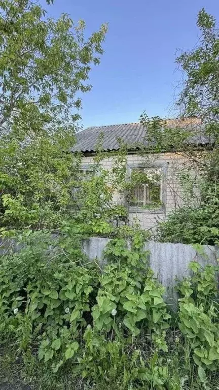 Дом в Белгородская область, Белгородский район, Северный городское ... - Фото 0