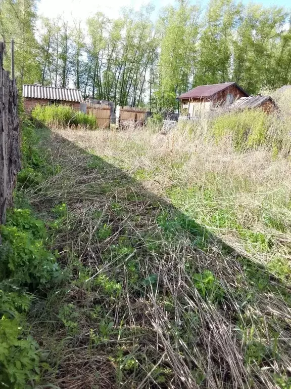 Участок в Башкортостан, Мелеуз ул. Тополиная (7.0 сот.) - Фото 2