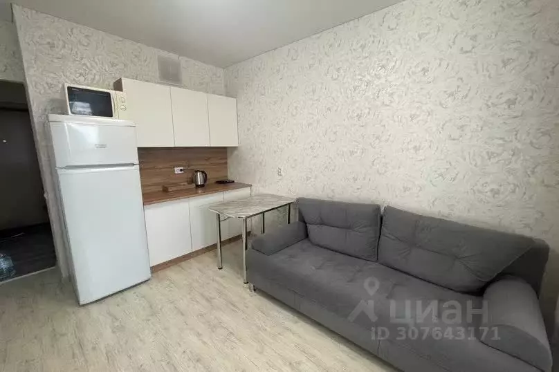 1-к кв. Татарстан, Набережные Челны ул. Шамиля Усманова, 3Б (25.0 м) - Фото 1