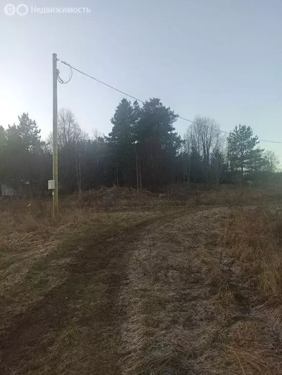 Участок в посёлок Зайцево, Лесная улица (22 м) - Фото 1