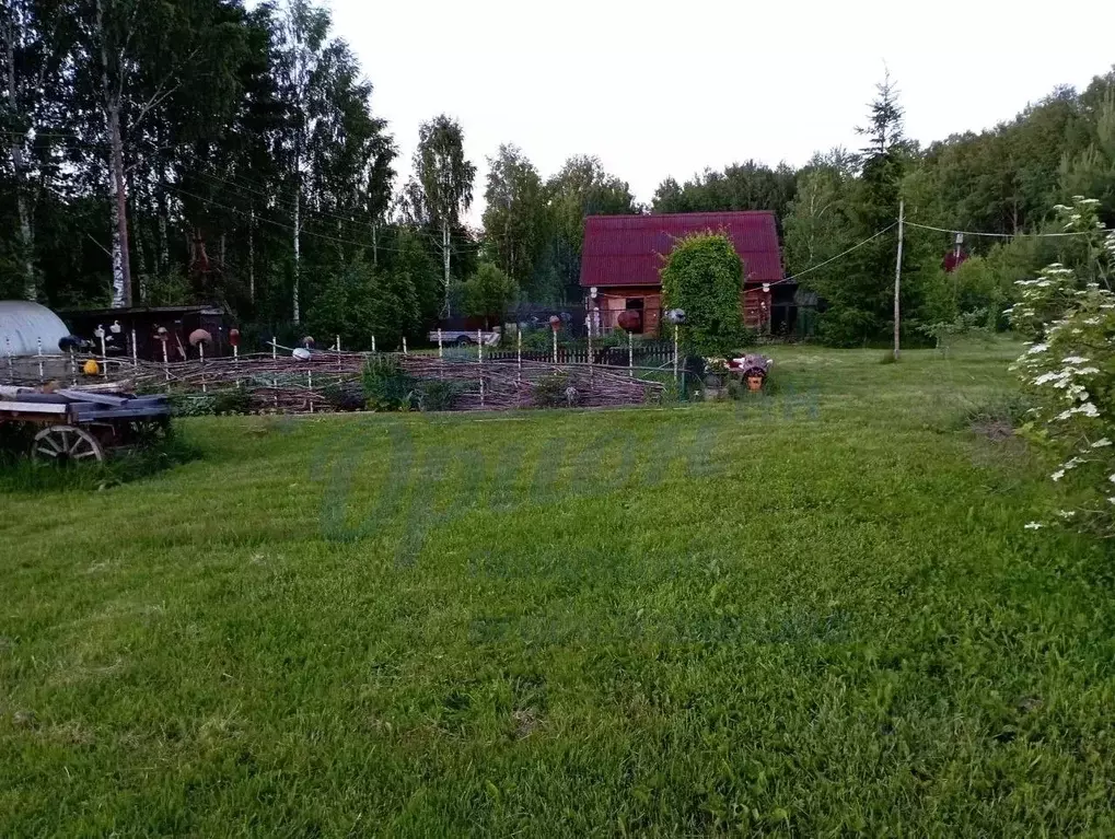 Участок в Нижегородская область, Семеновский муниципальный округ, д. ... - Фото 2