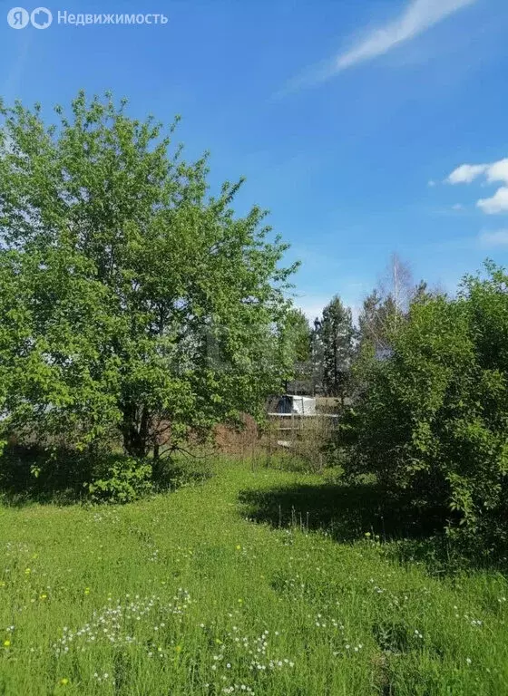 Участок в Курган, СНТ Зауралье (6.33 м) - Фото 1