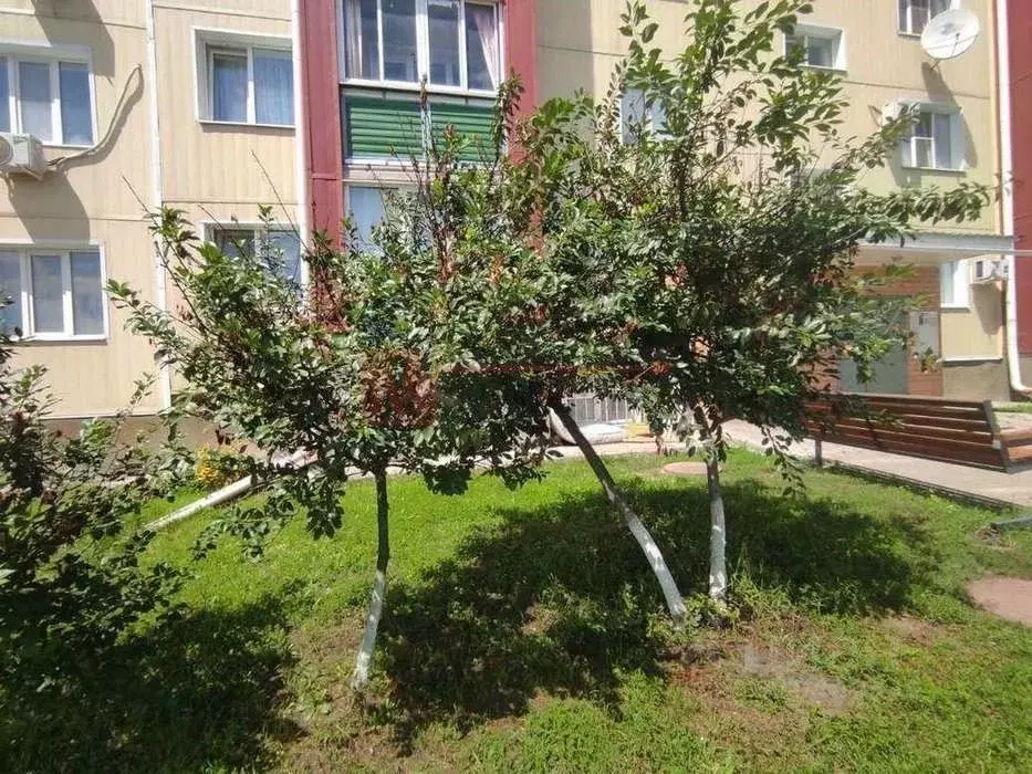 2-к кв. Белгородская область, Старый Оскол Северный мкр, 35 (55.0 м) - Фото 1