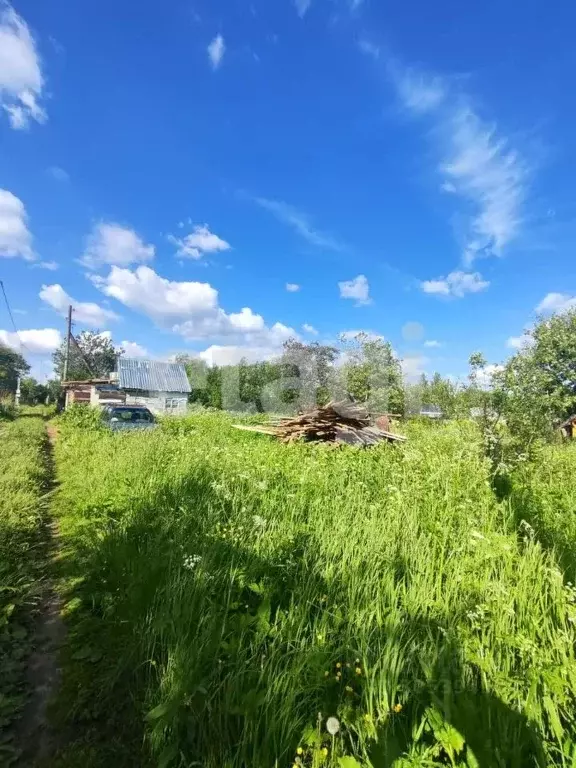 участок в костромская область, кострома веснянка садоводческое . - Фото 1