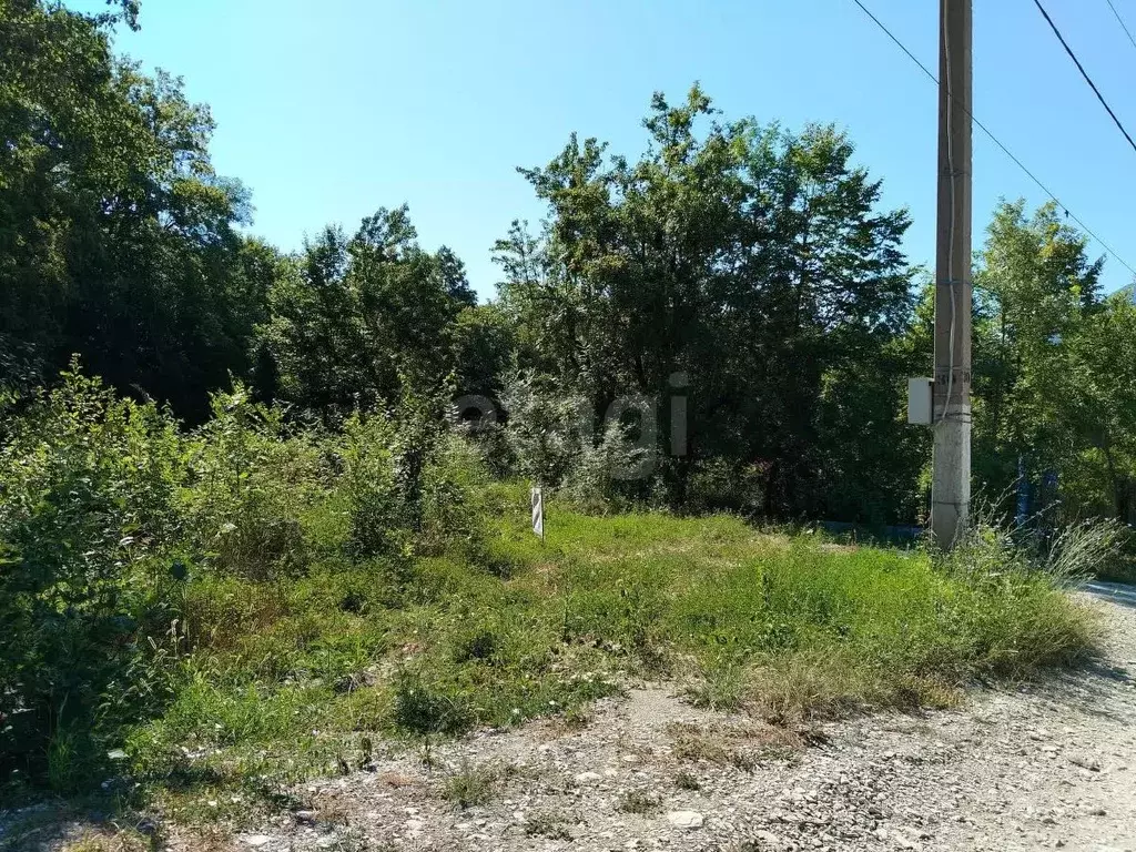 Участок в Краснодарский край, Геленджик городской округ, Строитель СТ  ... - Фото 1