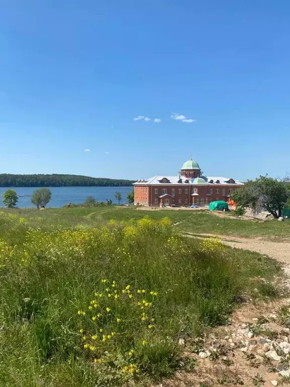 Участок в Псковская область, Новоржевский муниципальный округ, д. ... - Фото 1