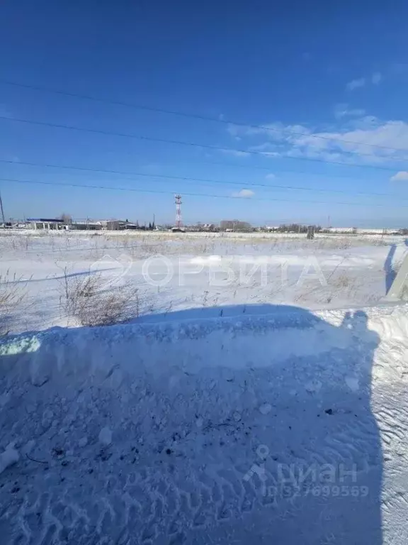 Участок в Тюменская область, Тюменский муниципальный округ, ... - Фото 2