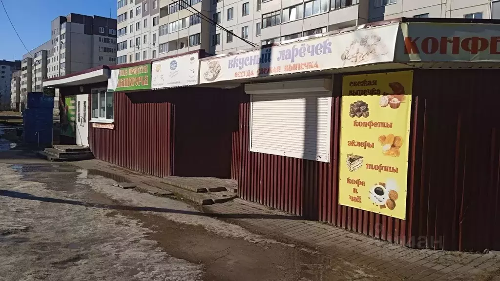 Торговая площадь в Псковская область, Псков Рижский просп., 75/2 (16 ... - Фото 2