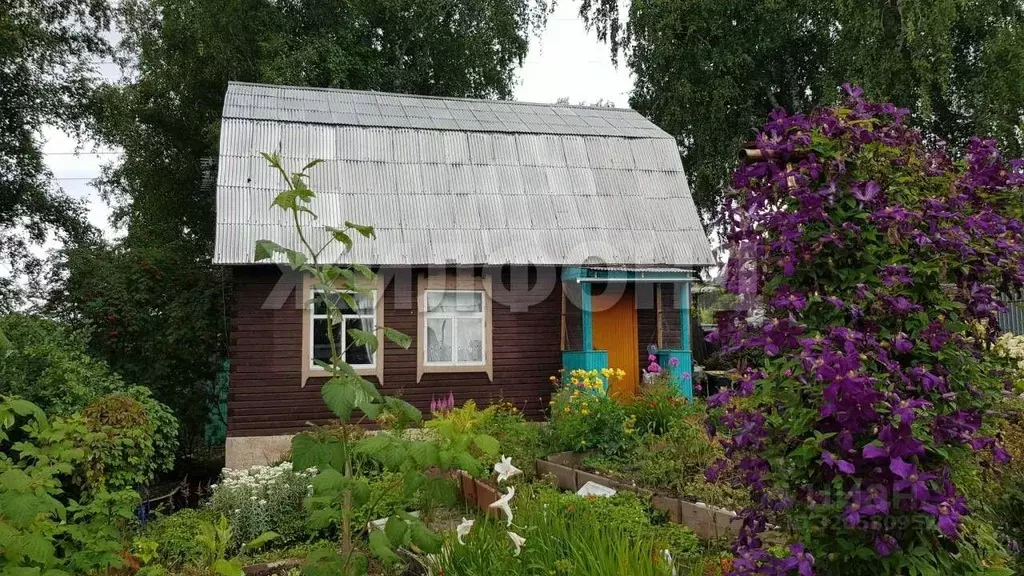 Дом в Новосибирская область, Мошково рп  (60 м) - Фото 1