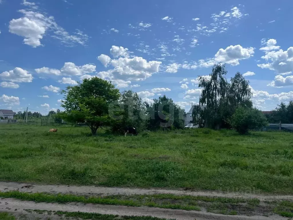 Участок в Воронежская область, Борисоглебск Весна СНТ,  (7.0 сот.) - Фото 1