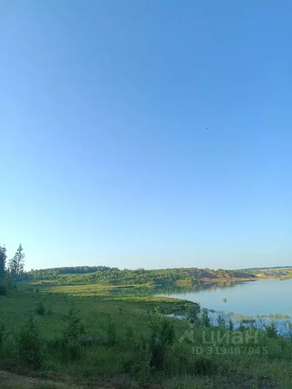Участок в Московская область, Дмитровский муниципальный округ, ... - Фото 0