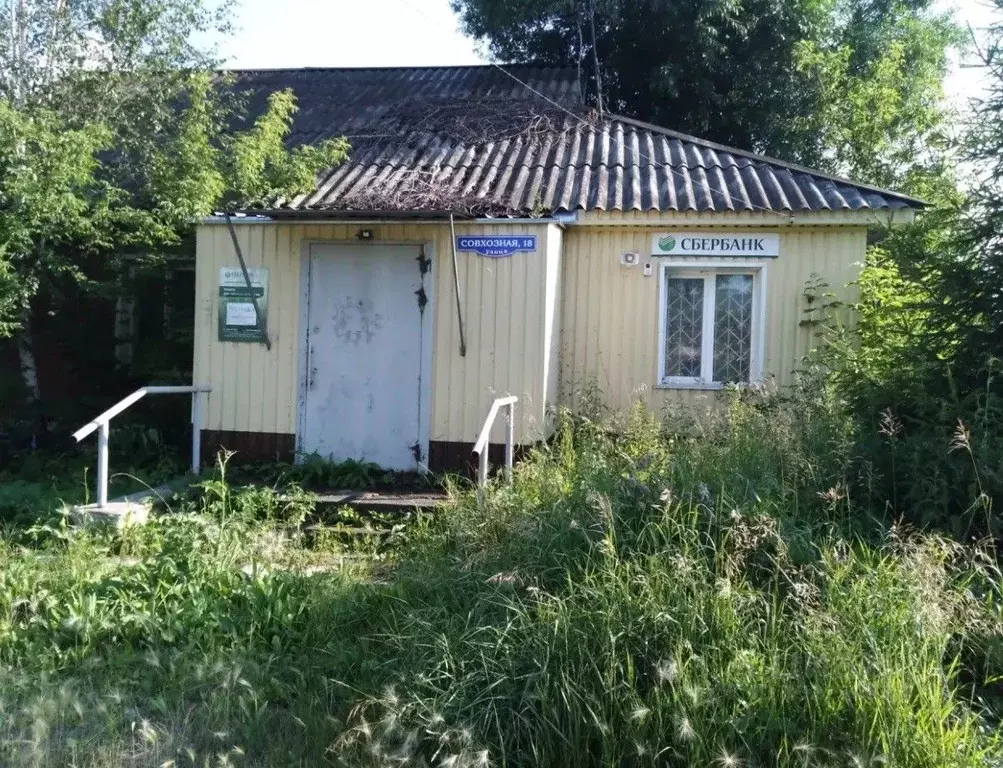 Офис в Омская область, Любинский район, с. Алексеевка Совхозная ул., ... - Фото 2