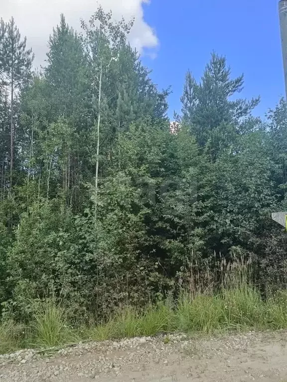 Участок в Коми, Сыктывкар городской округ, Верхняя Максаковка пгт, ... - Фото 1