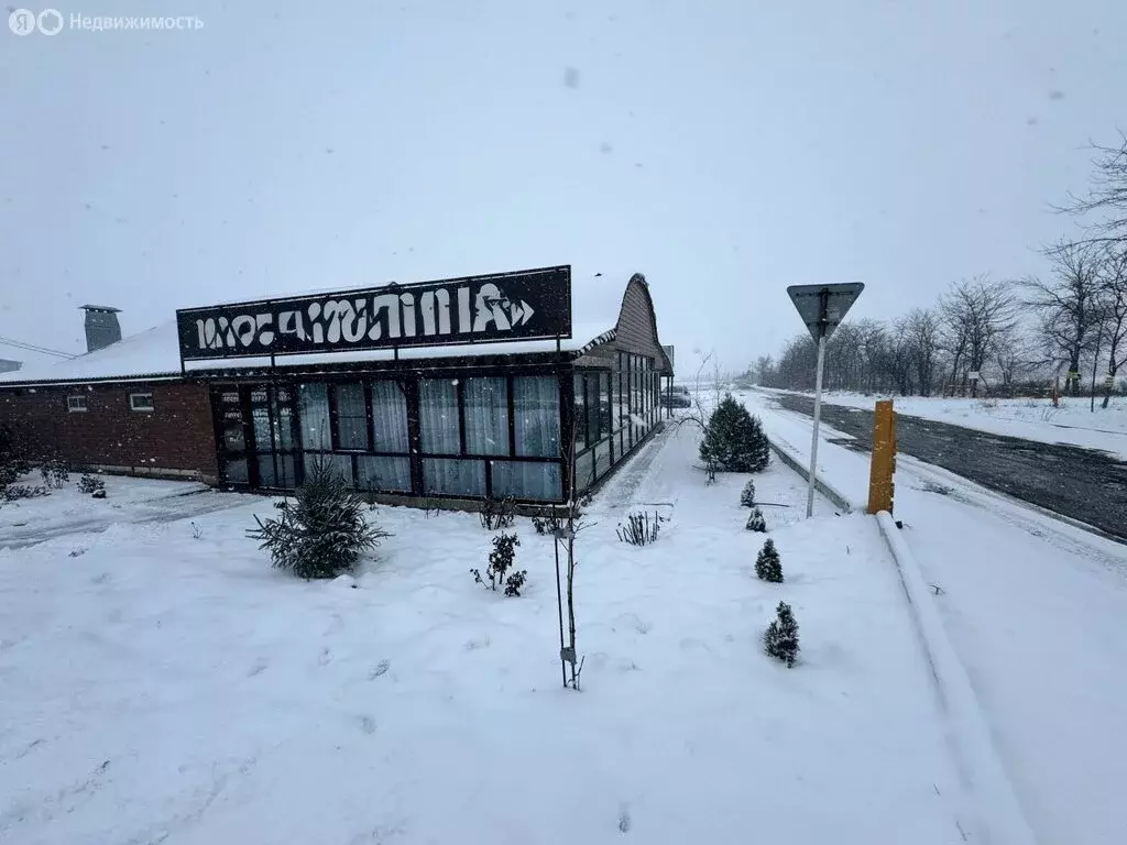 Помещение свободного назначения (240 м) - Фото 2