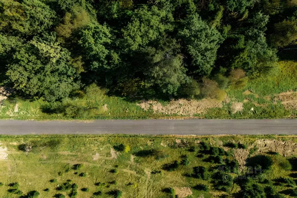 Участок в Московская область, Истра муниципальный округ, д. Дубровское ... - Фото 2