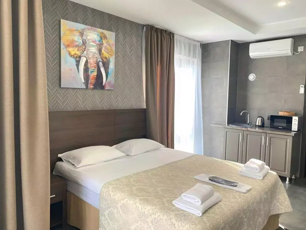 1-к кв. Краснодарский край, Сочи Адлер жилрайон, ул. Известинская, 6А ... - Фото 2