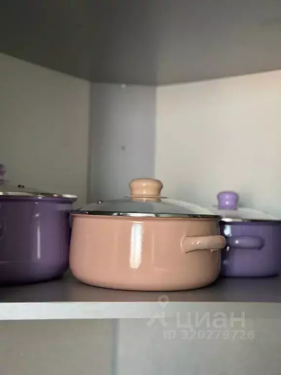 2-к кв. Московская область, Щелково Богородский мкр, 3 (68.0 м) - Фото 2