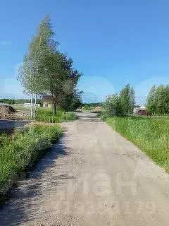 Участок в Ярославская область, Ярославский муниципальный округ, ... - Фото 1
