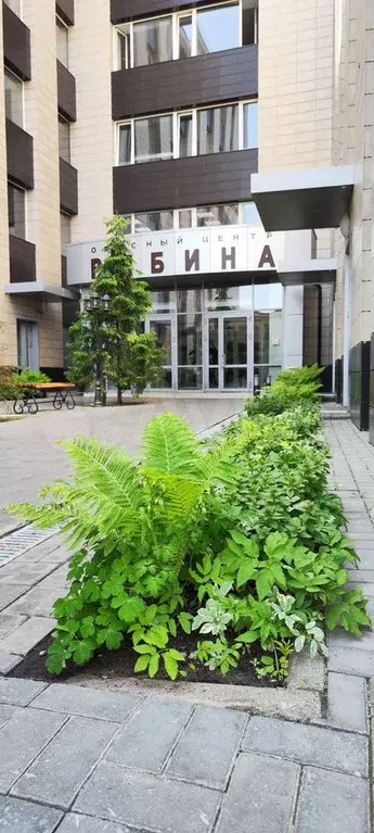 Офис, 39.1 м - Фото 0
