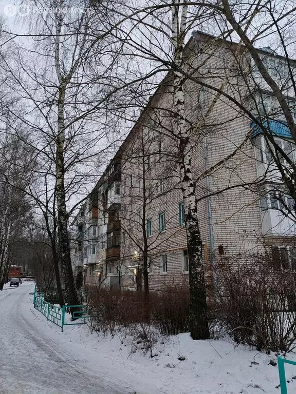 3-комнатная квартира: Богородск, 2-й микрорайон, 16 (56.7 м) - Фото 1