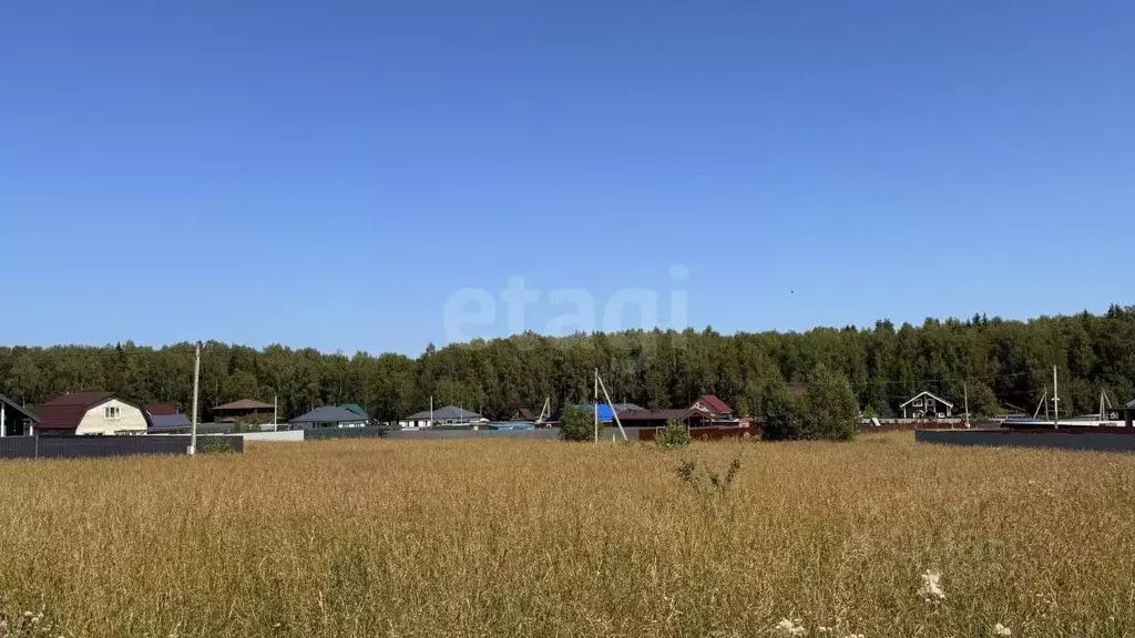 Участок в Владимирская область, Петушинский муниципальный округ, ... - Фото 1