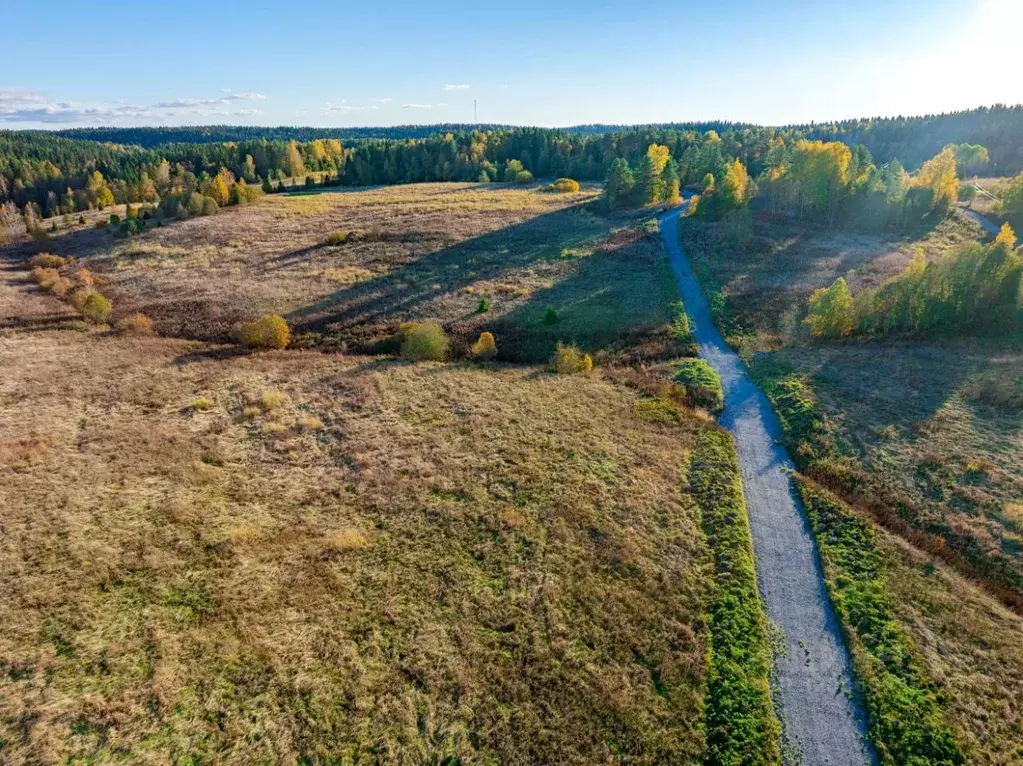 Участок в Карелия, Питкярантский муниципальный округ, пос. Ляскеля, ... - Фото 2