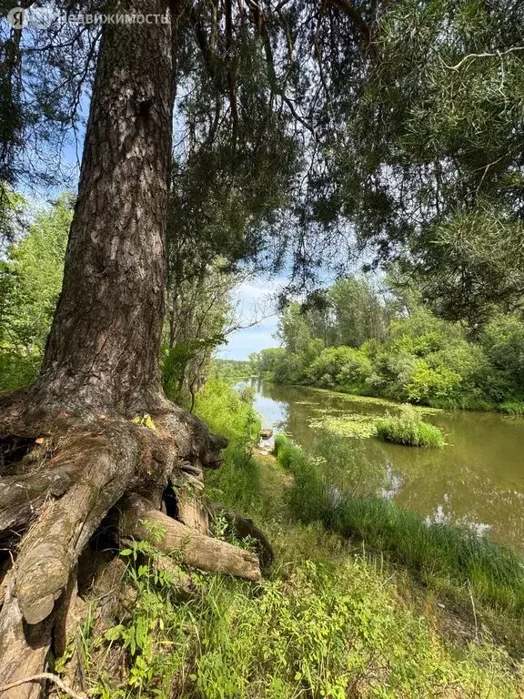Участок в Котельничский район, Морозовское сельское поселение, посёлок ... - Фото 1