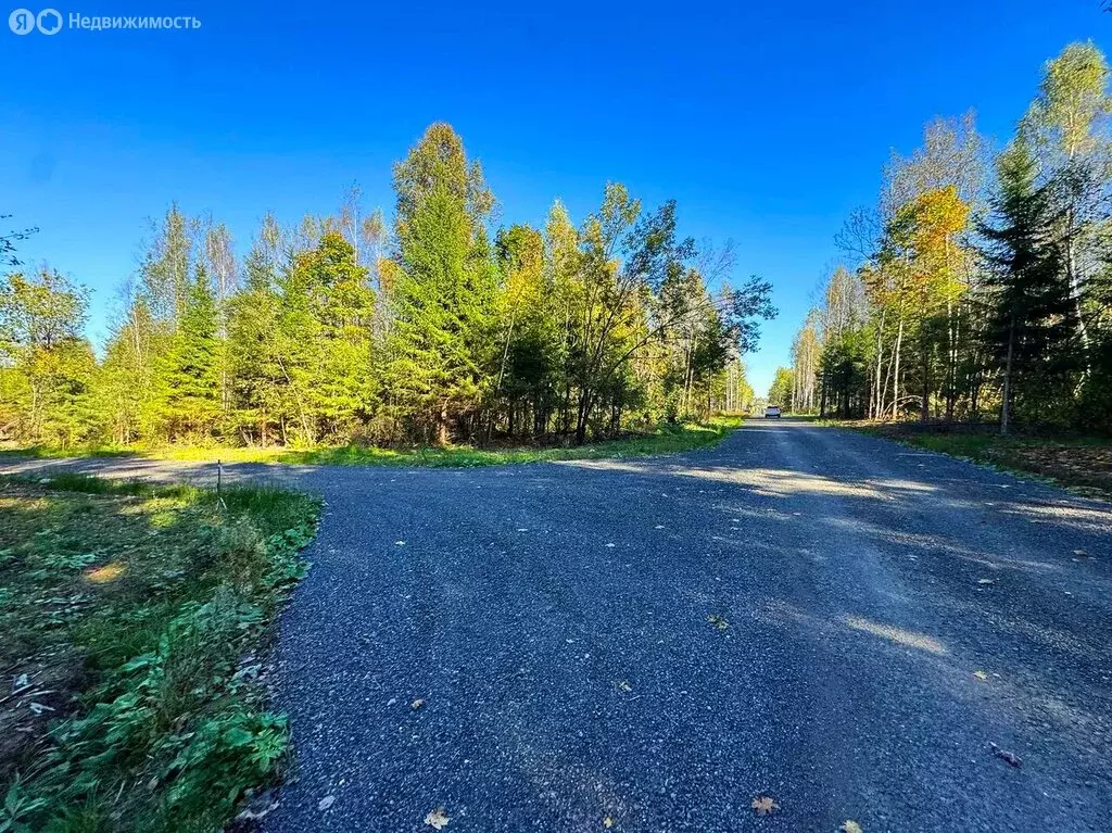 Участок в Московская область, Дмитровский муниципальный округ, КП ... - Фото 2
