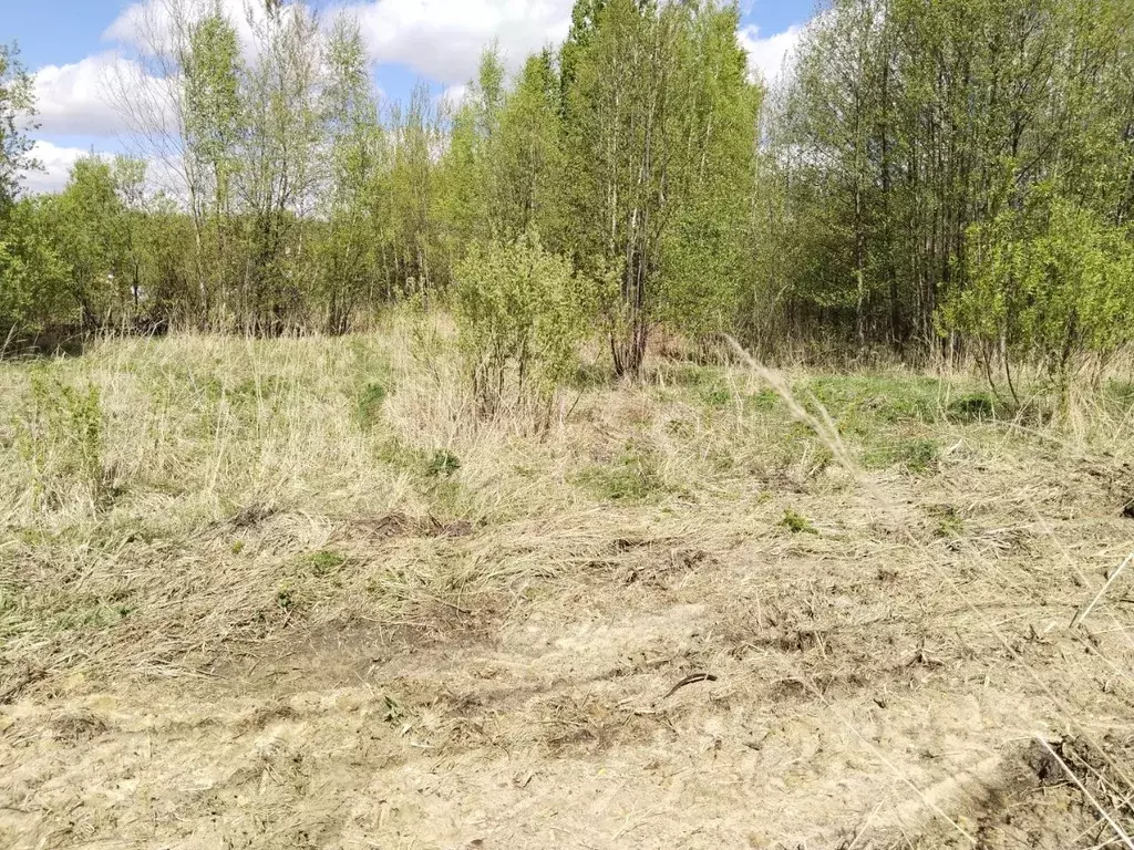 Участок в Московская область, Орехово-Зуевский городской округ, пос. ... - Фото 0