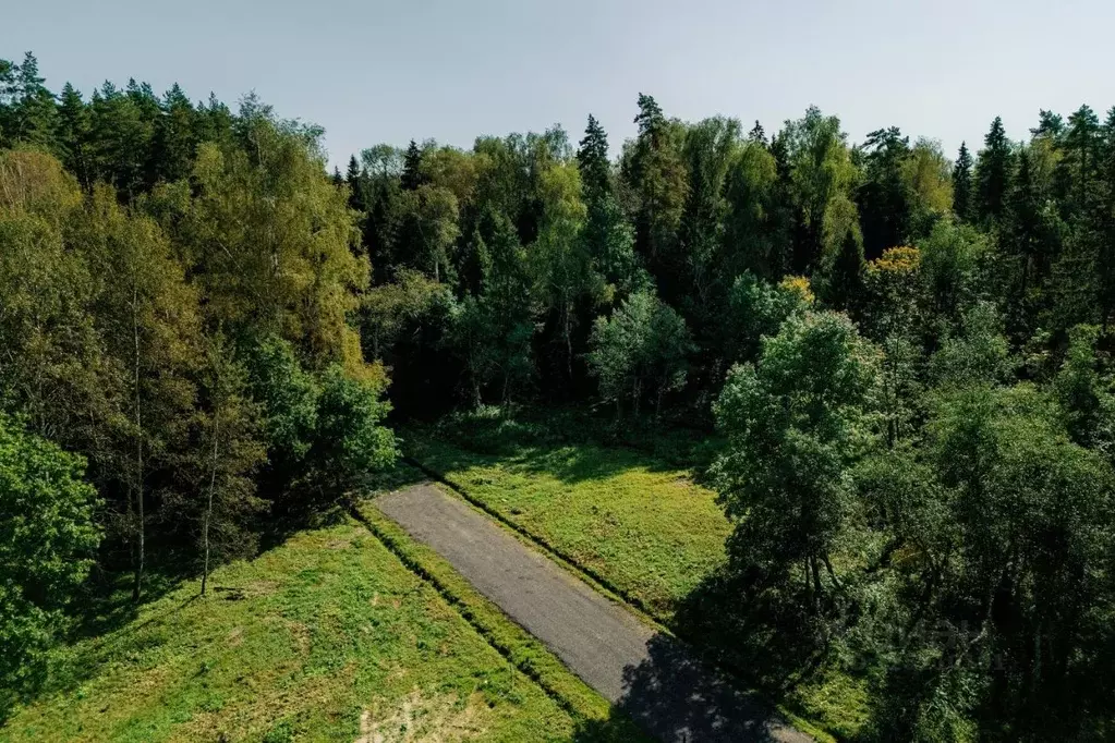 Участок в Московская область, Истра муниципальный округ, д. Дубровское ... - Фото 1