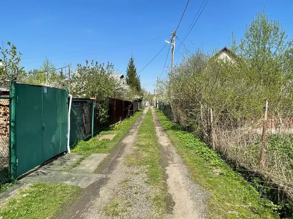 Участок в Московская область, Подольск городской округ, Бор СНТ 58 ... - Фото 1