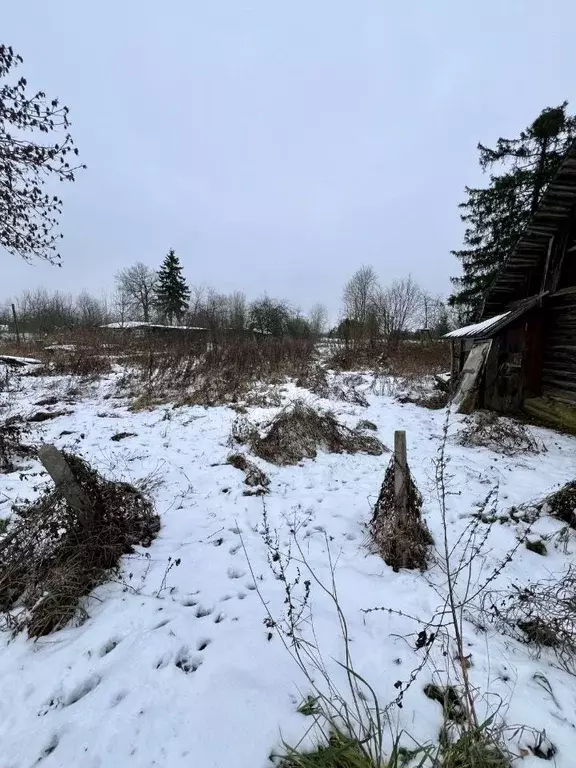Участок в Псковская область, Псковский район, Тямшанская волость, д. ... - Фото 2