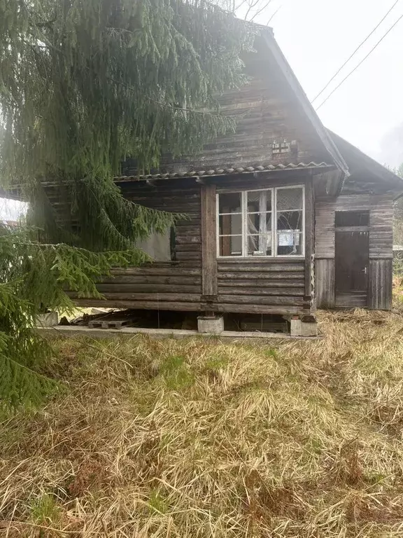 Участок в Ленинградская область, Гатчинский муниципальный округ, Чаща ... - Фото 1