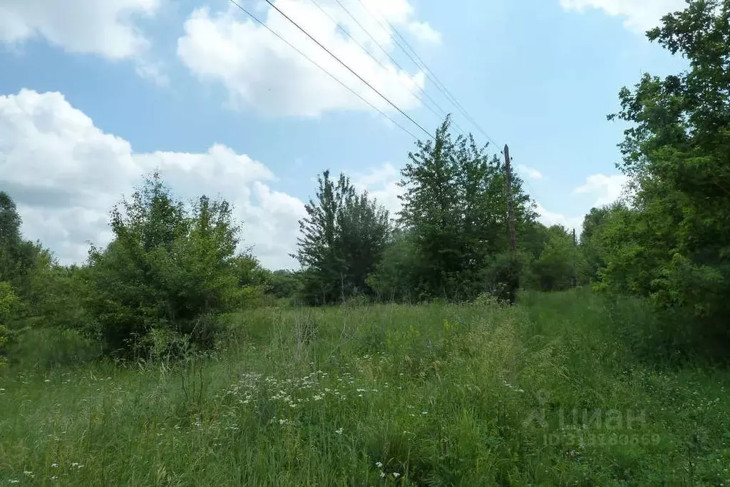 Участок в Воронежская область, с. Новая Усмань ул. Победы (11.0 сот.) - Фото 0