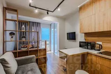 1-к кв. Краснодарский край, Сочи Светлана мкр, ул. Учительская, 9 ... - Фото 1