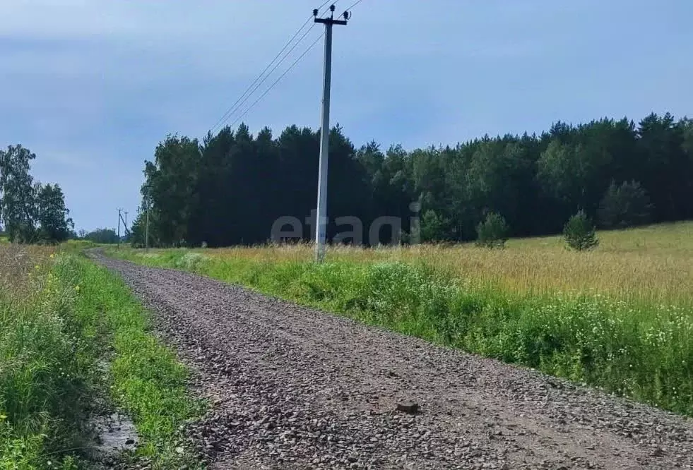 Участок в Алтайский край, Первомайский район, с. Санниково ул. ... - Фото 1