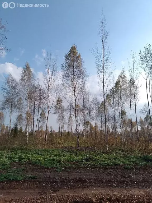 Участок в Московская область, городской округ Клин, дачный посёлок ... - Фото 0