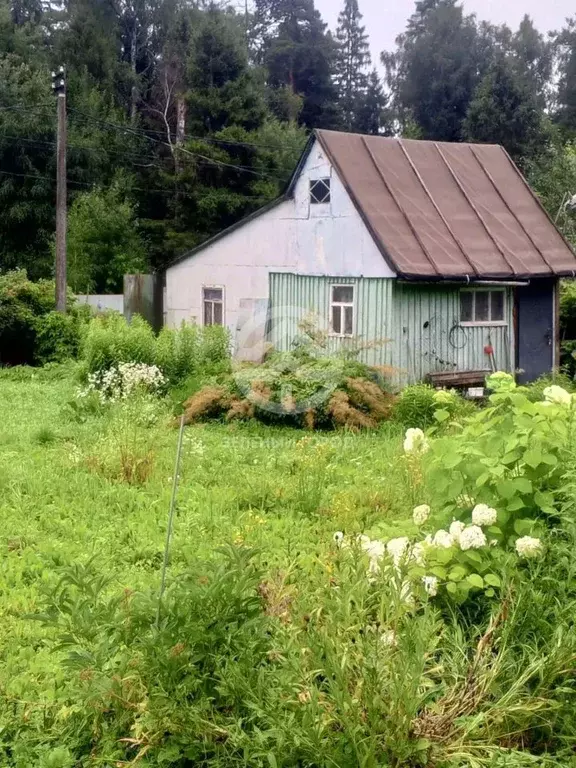 Участок в Московская область, Химки городской округ, пос. Лунево ул. ... - Фото 1
