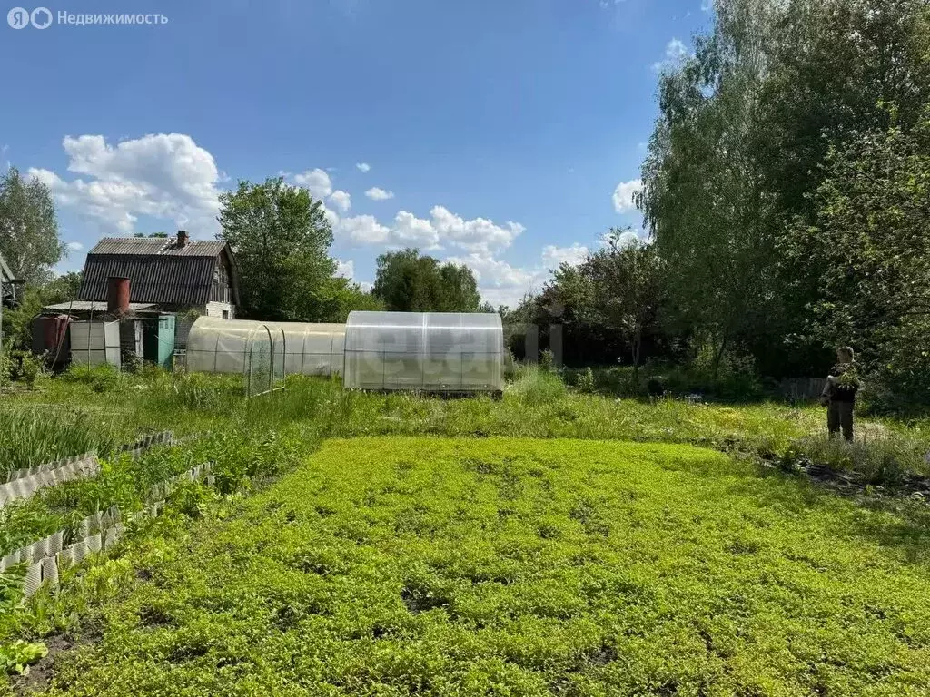 Дом в Брянская область, Сельцо (35 м) - Фото 1