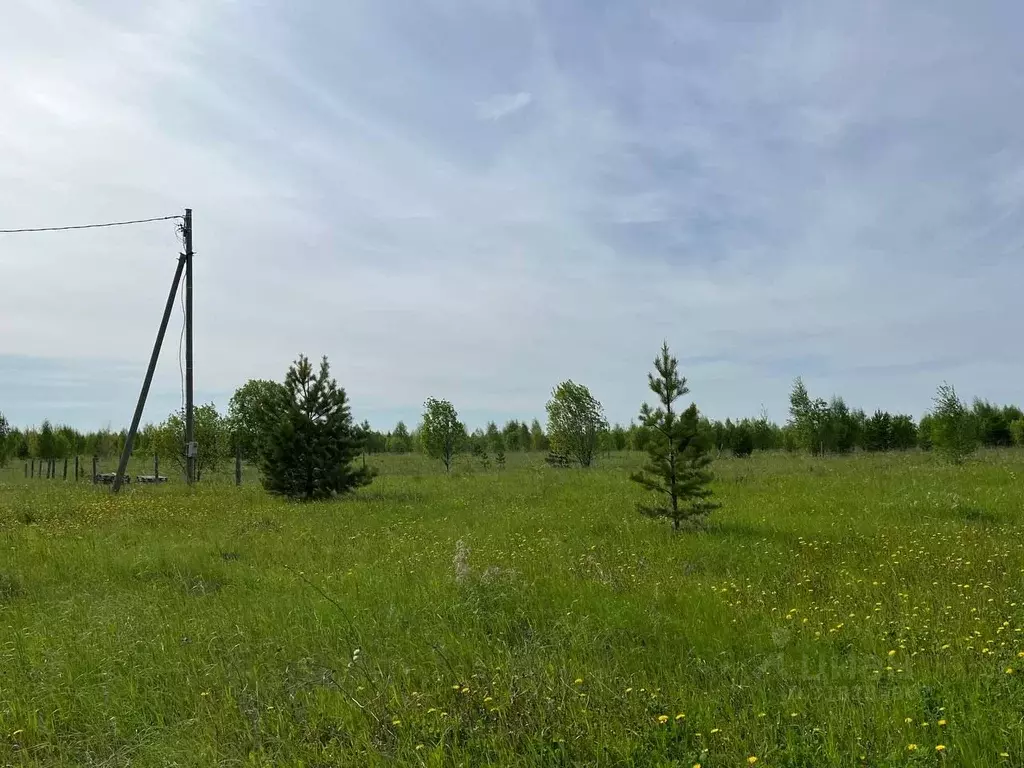 Участок в Пермский край, Осинский муниципальный округ  (15.0 сот.) - Фото 2