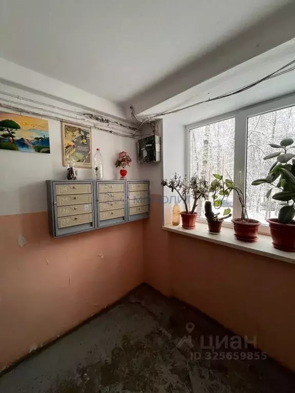 1-к кв. Нижегородская область, Дзержинск ул. Сухаренко, 3 (30.0 м) - Фото 2