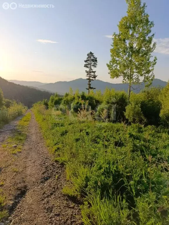 Участок в Манжерокское сельское поселение, село Озёрное, Тихая улица ... - Фото 2